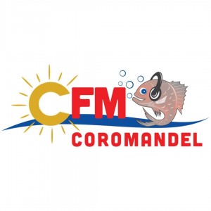 CFM SQUARE Logo